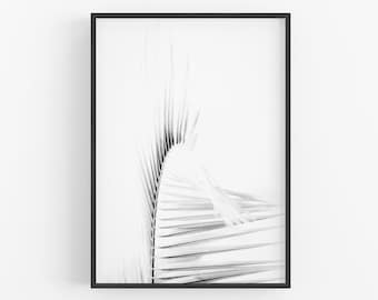 Palm Leaf Art Print, Black and White Palm Photography, Minimal California Bohemian Decor Modern Boho Tropical Wall Art Plant Art Palms Photo