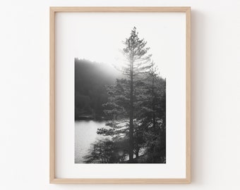 Black and White Lake Arrowhead Photography Print, Lake Print Sunset Big Bear Art Alpine Print California Print Forest Mountain Cabin Art