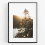 Sunset Photography