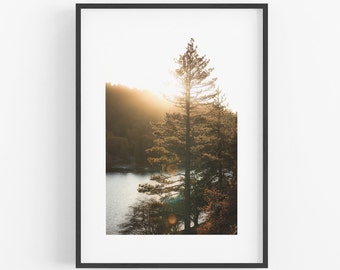 Lake Arrowhead Photography FRAMED Print, Lake Print Sunset Pine Tree Big Bear Art Alpine Lakes Print California Forest Mountain Cabin Art