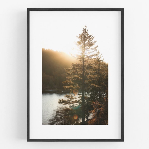 Lake Arrowhead Photography FRAMED Print, Lake Print Sunset Pine Tree Big Bear Art Alpine Lakes Print California Forest Mountain Cabin Art