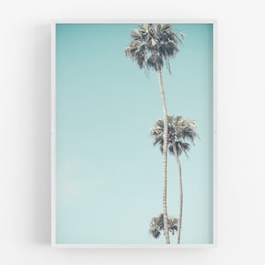 May include: A framed photograph of three palm trees against a light blue sky. The palm trees are silhouetted against the sky, and the image has a vintage feel.