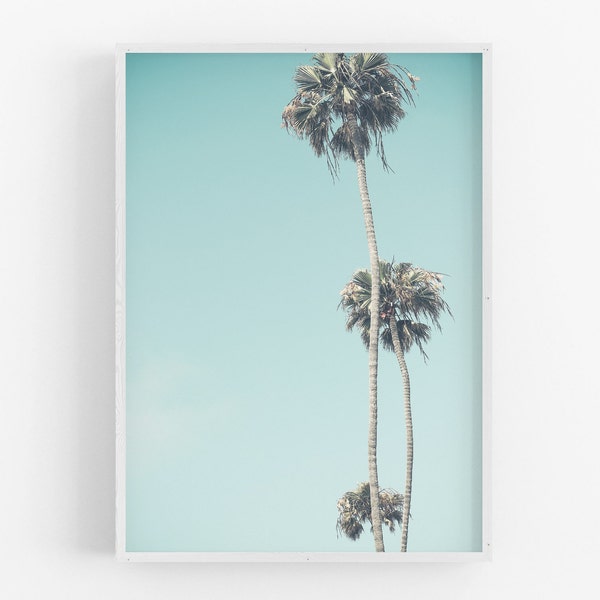 Palm Tree Photography, Retro Beach Decor, Los Angeles Surf Style Southern California Turquoise Blue Teal Aqua Serene Large Palms LA Vertical