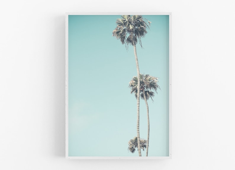 May include: A framed photograph of three palm trees against a light blue sky. The palm trees are silhouetted against the sky, and the image has a vintage feel.
