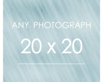Any Photograph as a 20X20 Print