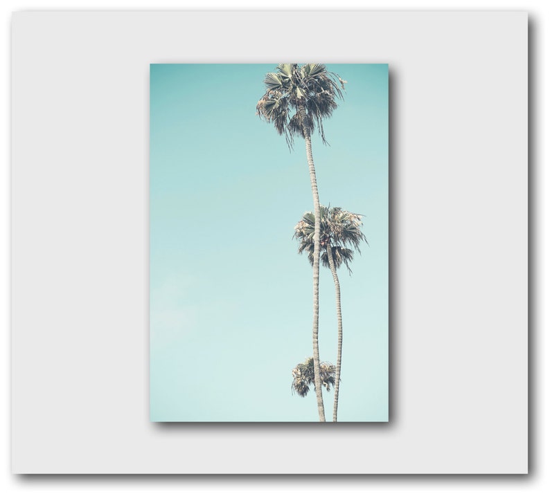 May include: Three palm trees against a light blue sky. The trees are silhouetted against the sky, with their fronds reaching up towards the top of the image.