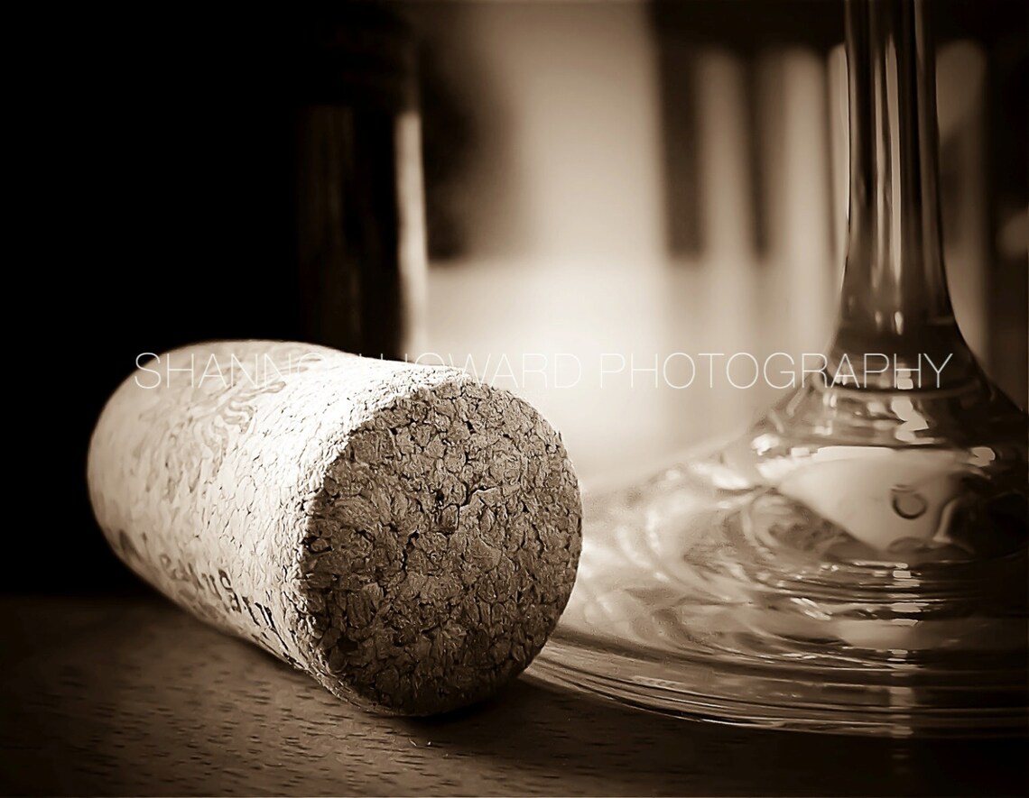 Wine Photography Sepia Wine Print Set Wine Art Set of 6 Etsy