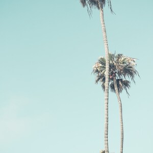 May include: Two tall palm trees against a light blue sky. The trees are silhouetted against the sky, with their fronds reaching up towards the top of the image. The sky is a soft, pastel blue.