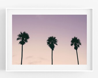 Pastel Palm Tree Photography  Los Angeles Photo Art Print Manhattan Beach Hermosa Redondo South Bay California Print Coastal Sunset Pink Art