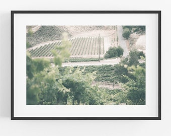 Vineyard Photography Print, Wine Photography vineyard landscape prints Temecula California wine country dining kitchen bar art winery color