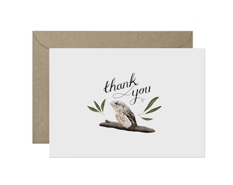 Gracias - Tawny Frogmouth - C6 Tarjetas de felicitación