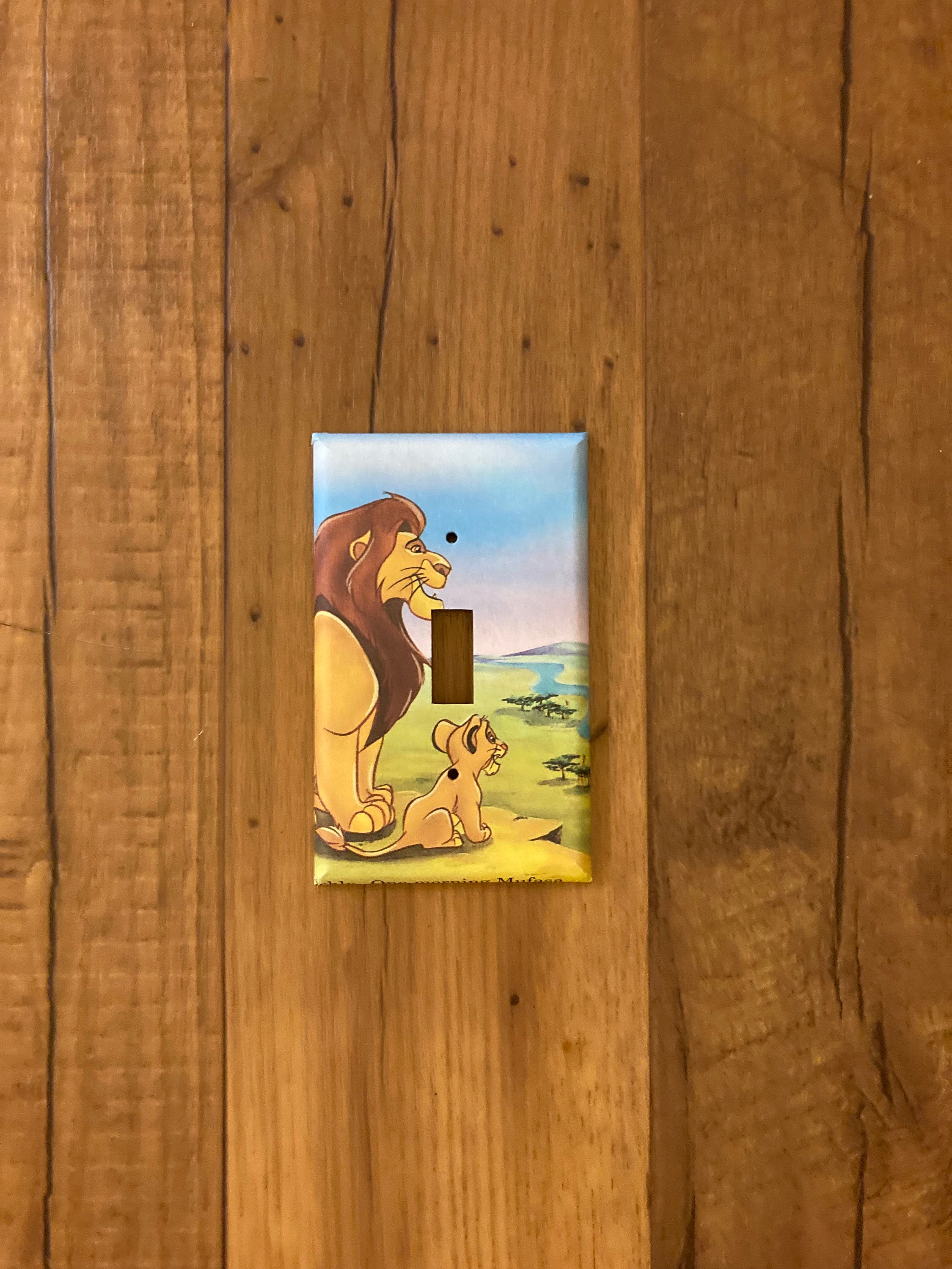 Lion King Simba And Mufasa Everything The Light Touches