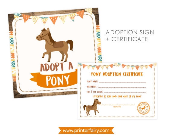 Pony Birthday Party Horse Birthday Party Pony Adoption Horse