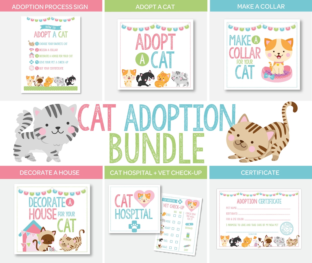 Cat Adoption Station Package, Pet Adoption Center Full Pack
