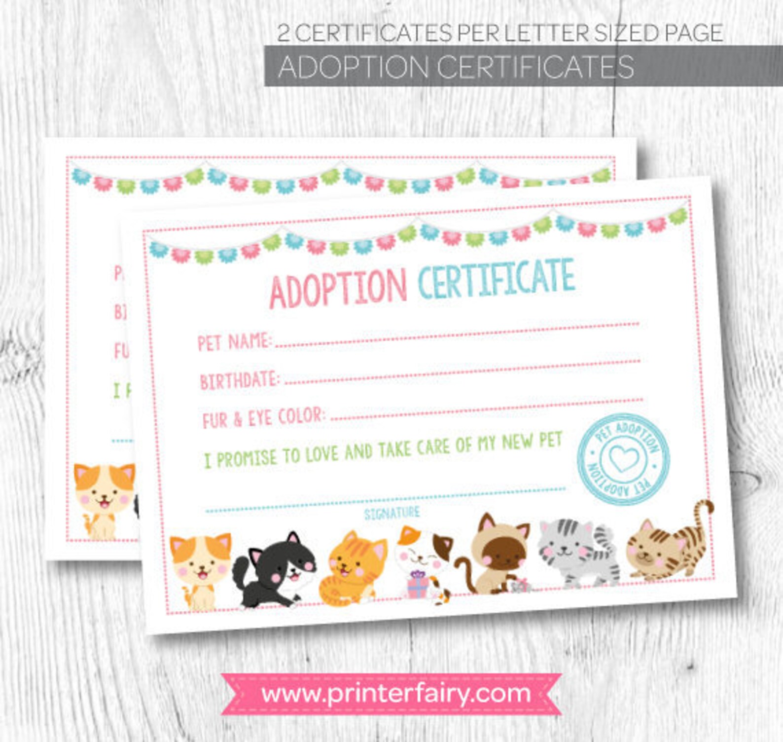 Cat adoption certificate Pet adoption party Kitty Adoption Etsy