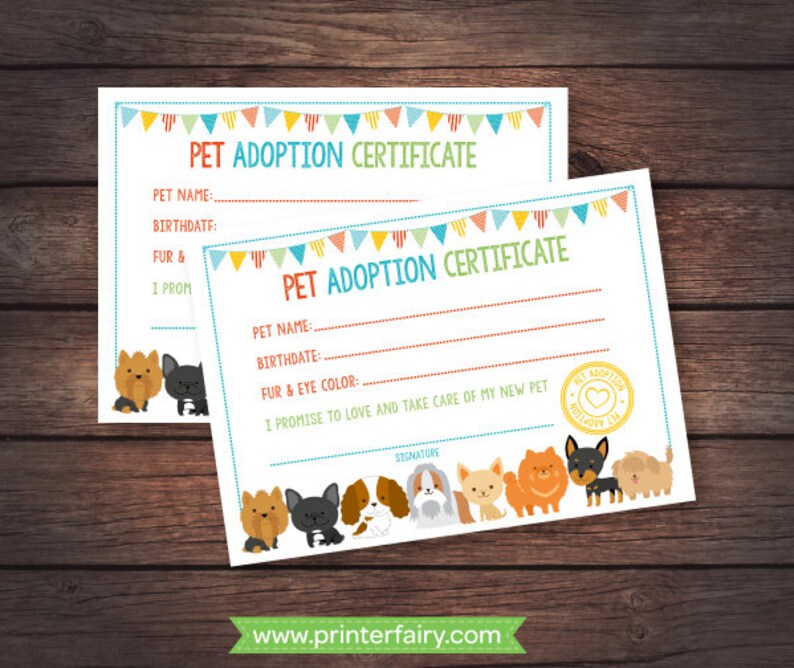 May include: Printable pet adoption certificate with a colorful banner design. The certificate includes spaces to fill in the pet's name, birthdate, fur and eye color, and a promise to love and take care of the new pet. The certificate also features a cute illustration of a variety of dogs.