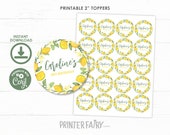 Lemon Toppers, Editable, Citrus Thank you Tags, Lemonade Birthday Party, Lemonade Favor Tags, Instant Download Il_170x135