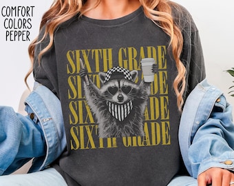 Sixth Grade Teacher Shirt, 6th Grade Funny Feral Raccoon Tee, Teacher Team Shirt, Back to School, Comfort Colors, Last Day of School