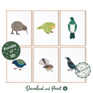 Neuseeland Vögel und Käfer druckbare Wandkunst, süße neuseeländische Vögel und Käfer, riesiges Bündel von 18!, digitaler Download, Kiwi, Te Reo Maori Kunst, Neuseeland Geschenk