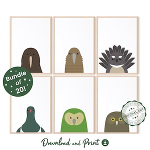Conjunto de arte mural de aves de Nueva Zelanda: 20 aves neozelandesas imprimibles, decoración infantil maorí Te Reo (kiwi, kakapo, tui) y descarga digital instantánea.