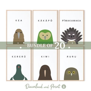 New Zealand Birds Wall Art, MEGA BUNDLE, Set of 20! , Printable, Instant Download, Te reo Maori, Cute Kiwi, Kakapo, Colourful Nursery Decor