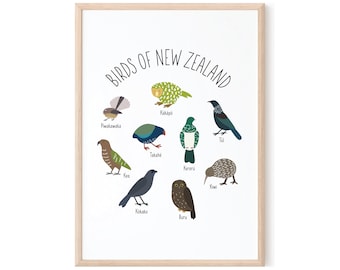 Vögel Neuseelands | DRUCKBARE Wandkunst | DIGITALER DOWNLOAD | Neuseeland Vogel Kunst | Neuseeland Poster | Neuseeland Geschenk | Kiwi Wandkunst