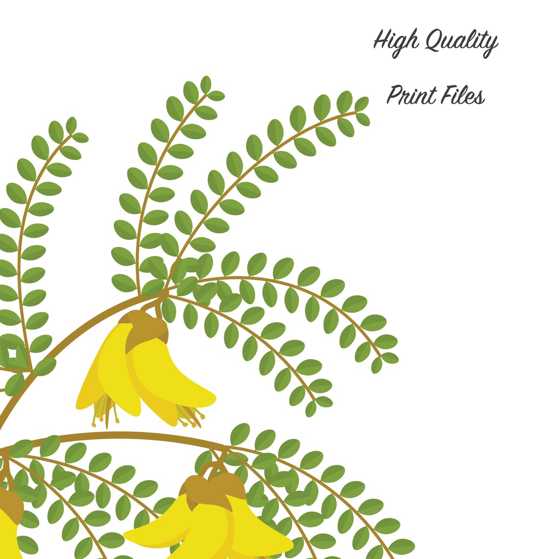 New Zealand Flowers Printable Wall Art Set of 3 Manuka Etsy