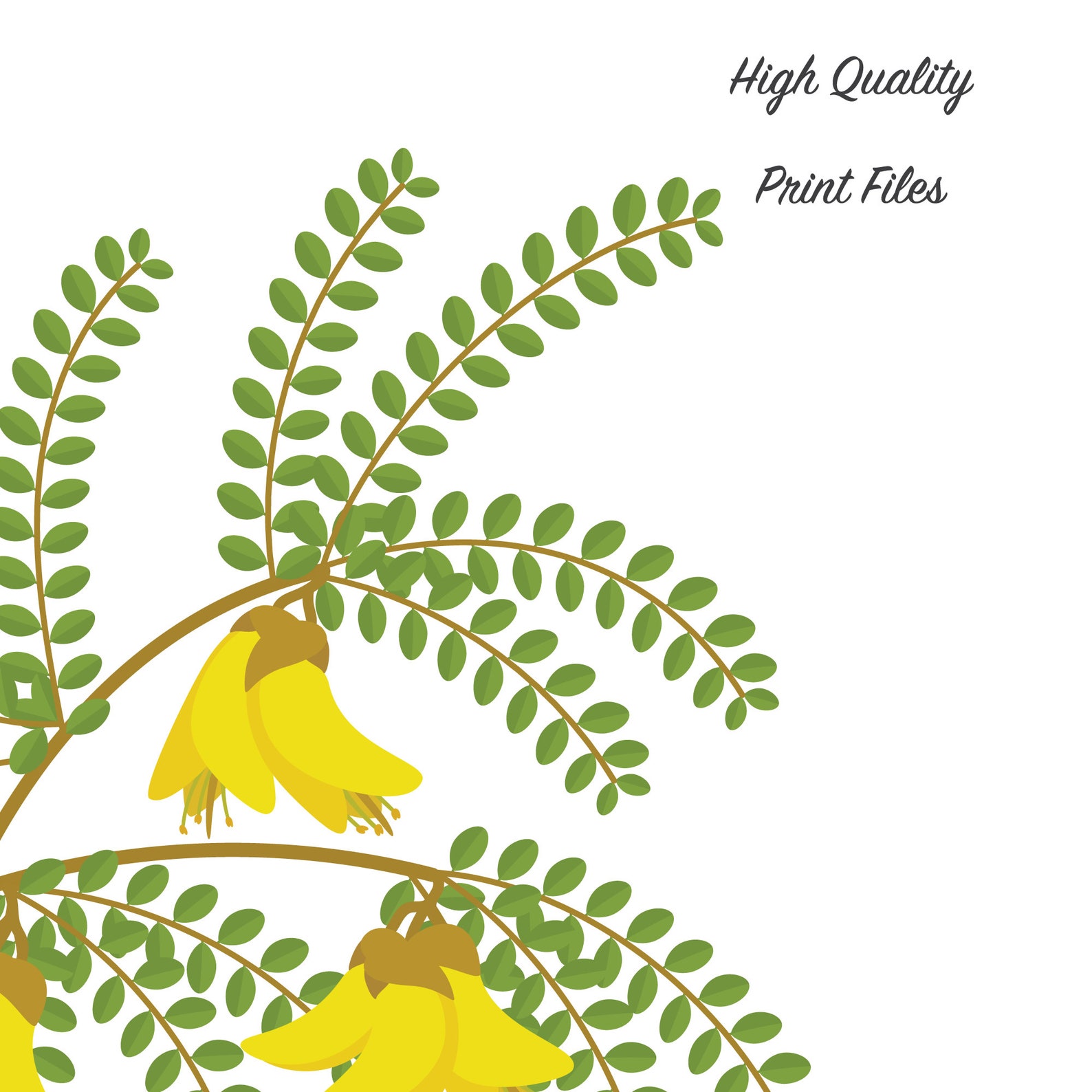 New Zealand Flowers Printable Wall Art Set of 3 Manuka Etsy New Zealand