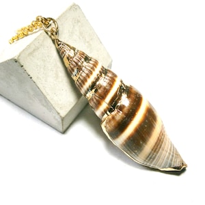 Necklace with shell pendant brown beige, gold-plated stainless steel chain with snail shell