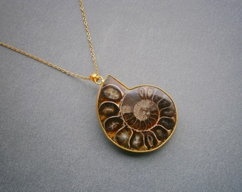 Ammonit Halskette Gold vergoldet, Ammonitkette, Anhänger fossile Muschel, Schnecke, echte Versteinerung
