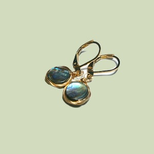 May include: A pair of gold earrings with a round iridescent blue and green abalone shell pendant on each earring.