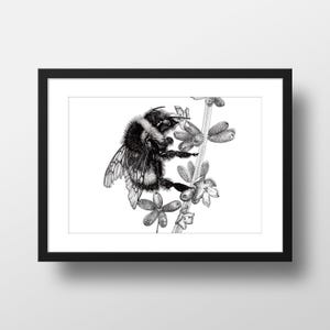 Bee giclee print. Bee wall art. Bee drawing. Bee - Japanese Ink Art Print from an original ink drawing. Black and white print.