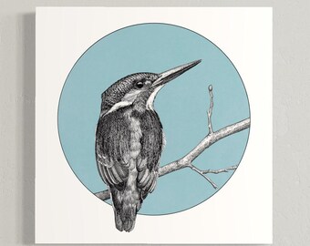 Kunstdruck Eisvogel, Federzeichnung, Wandbild mit blauem Vogel