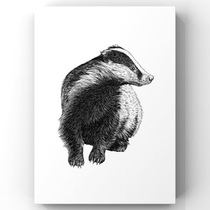 Badger Print from a hand drawn illustration, Badger drawing, Badger Art Print