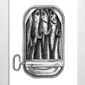 Sardine giclee print. Sardine drawing. Sardines - Sardine art print from an original drawing, Giclee Print of Sardines. -