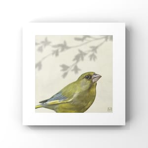Greenfinch, Fine art print of British garden birds. Bird painting.