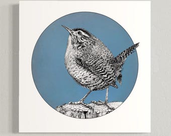 Kunstdruck „Zaunkönig“, Füllfederhalterzeichnung, Wandbild „Blauer Kreis“