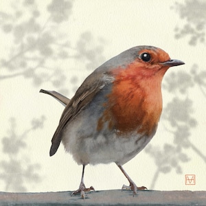 Robin, Giclee print of an original painting, British garden birds -