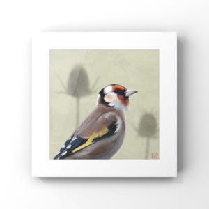 Goldfinch, Fine art print of British garden birds. Bird painting.
