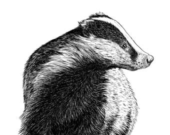 Giclée-print van een das, handgetekende illustratie, dierenkunst