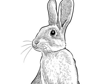 Rabbit Giclée Print - Hand Drawn Illustration