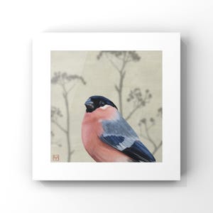 Bullfinch, Fine art print of British garden birds. Bird painting.