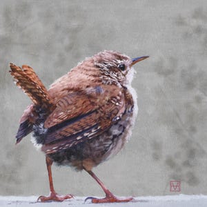 Wren, Giclee print of an original painting, British garden birds