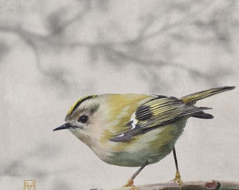 Gicléetryck av fågel av guldcrest, originalmålning av trädgårdsfågel