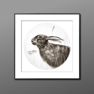 Hare, sepia pencil. giclee print of an original drawing. Hare art print.