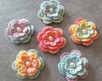 6 Crochet Flowers With Pearls In Multicolor  Gradient