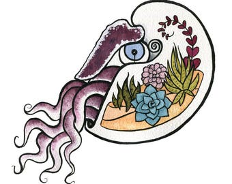Nautilus Terrarium - deep sea art - Terrarium Art - Nautilus art