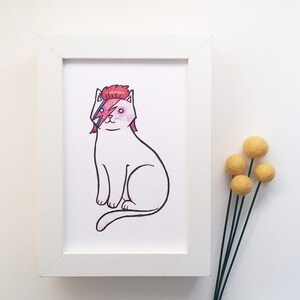 All  Cat Prints -   8 x 10