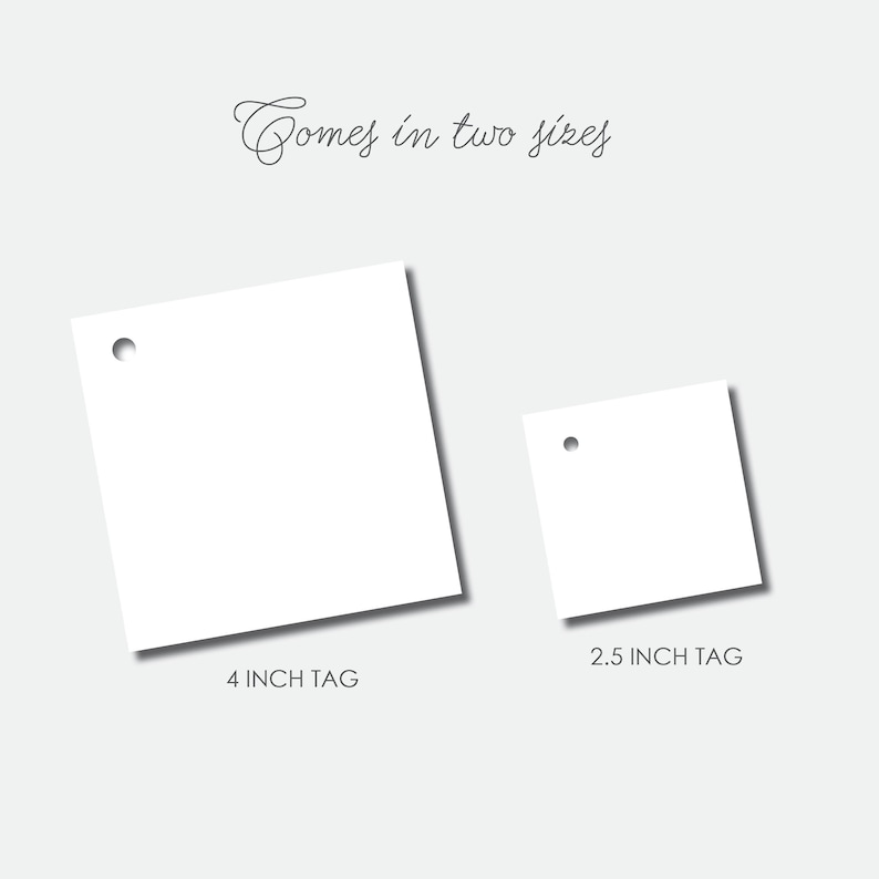 May include: Two blank gift tags with a hole punched in the top. The larger tag is 4 inches and the smaller tag is 2.5 inches.