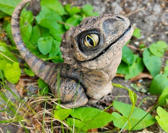 New born Velociraptor - Jurassic  Park/World